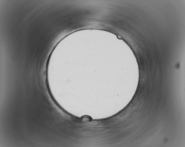 X0000116621479201001081221