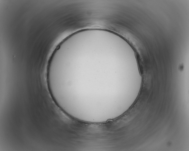 X0000116621480201001081221