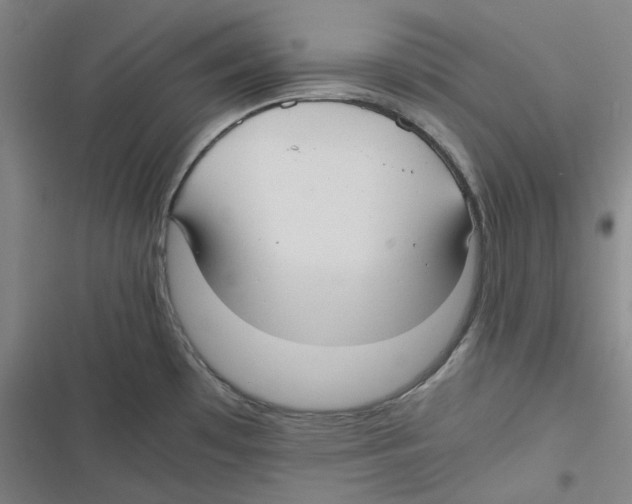 X0000116621481201001081221