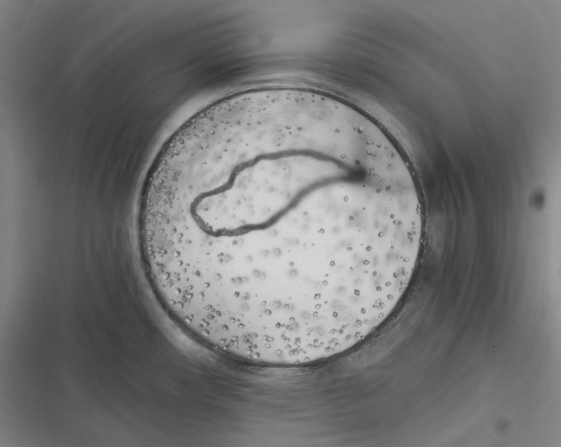 X0000116621482201001081221