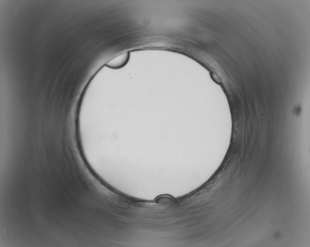 X0000116621483201001081221