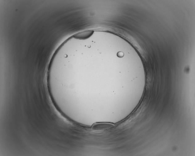 X0000116621484201001081221