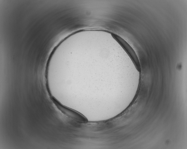 X0000116621485201001081221