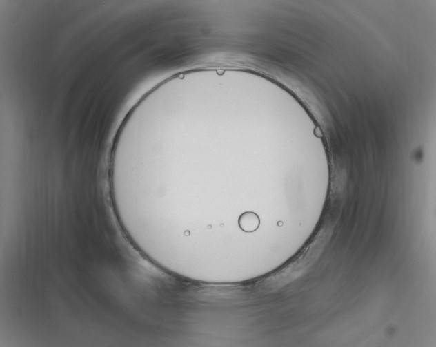 X0000116621486201001081221