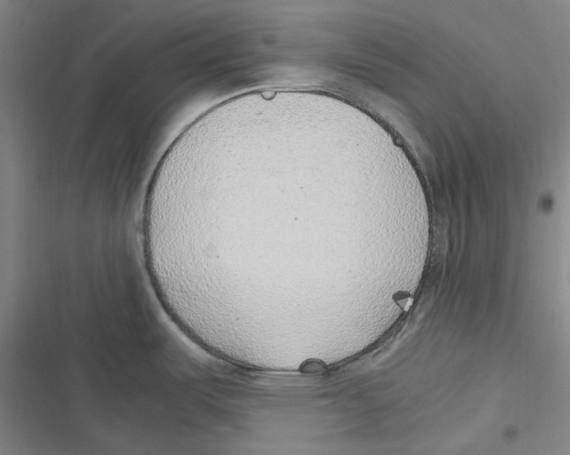 X0000116621487201001081221