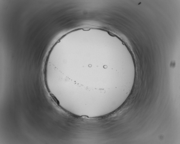 X0000116621488201001081221