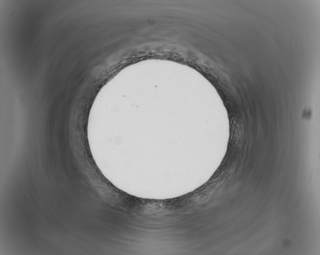 X0000116621489201001081220