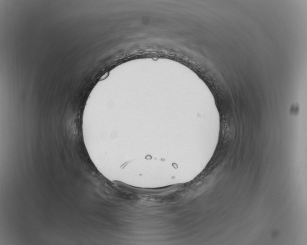 X0000116621490201001081220