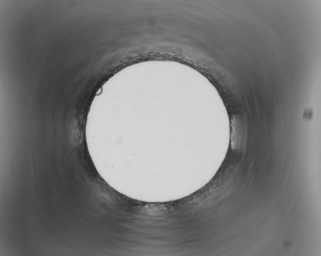 X0000116621491201001081220