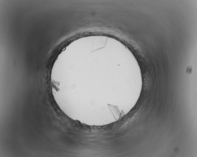 X0000116621494201001081220