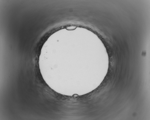 X0000116621495201001081220