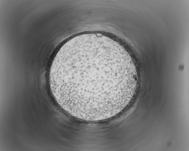 X0000116621497201001081221