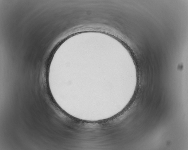 X0000116621498201001081221