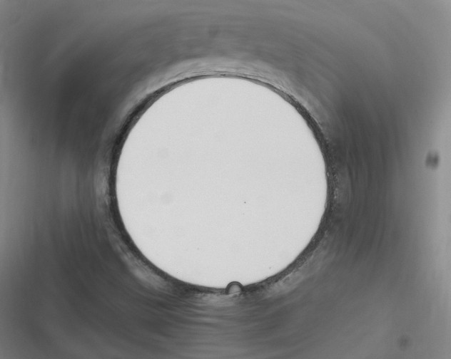 X0000116621499201001081221