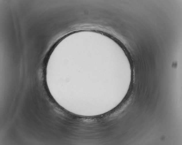 X0000116621501201001081221