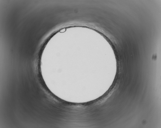 X0000116621502201001081221