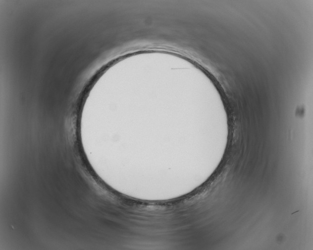 X0000116621503201001081221