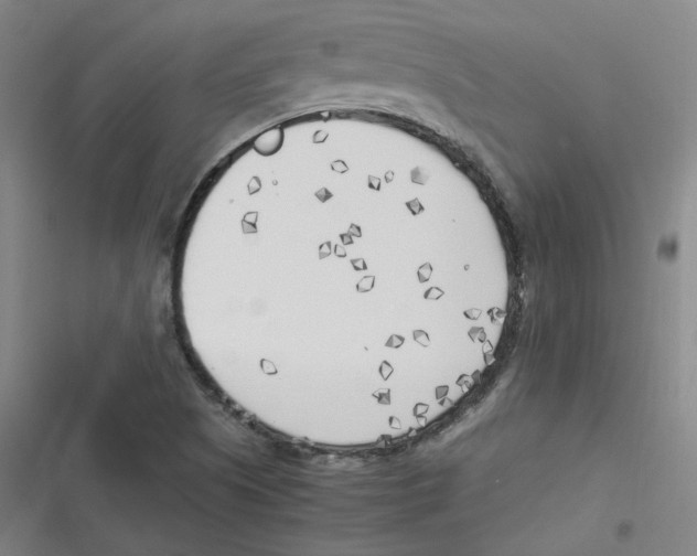 X0000116621505201001081221