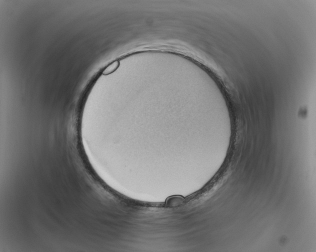 X0000116621506201001081221