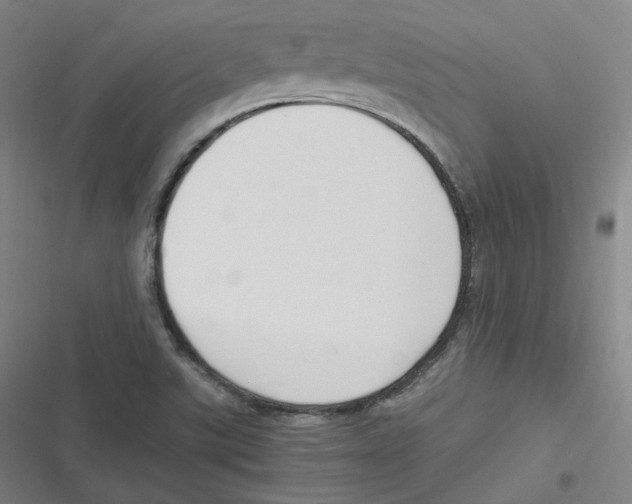 X0000116621507201001081221