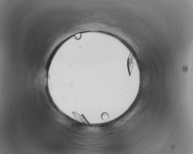 X0000116621509201001081221