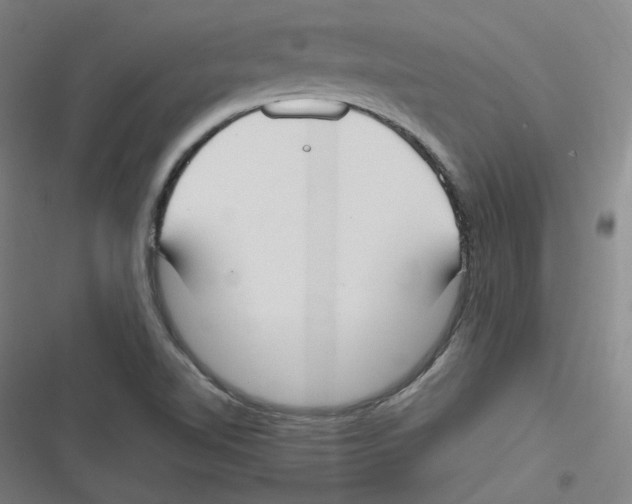 X0000116621510201001081221