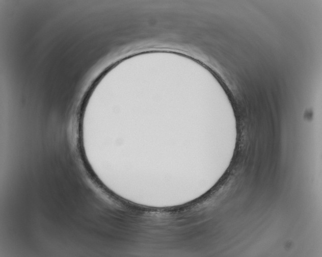 X0000116621511201001081221