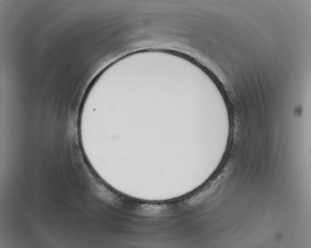 X0000116621513201001081221