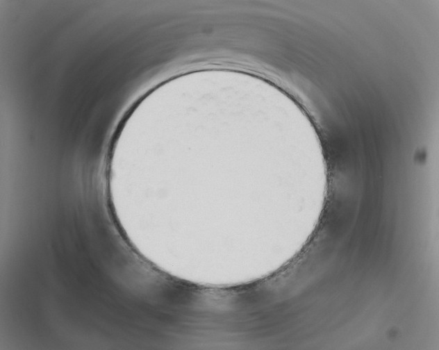 X0000116621514201001081221