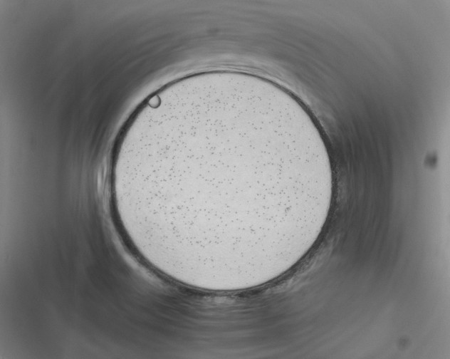 X0000116621515201001081221