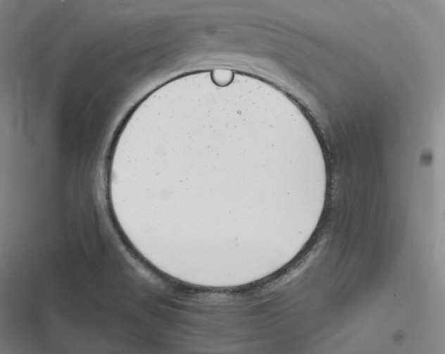 X0000116621517201001081221