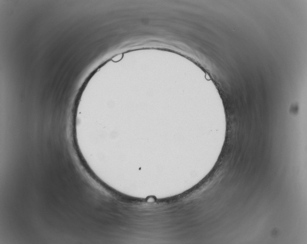 X0000116621518201001081221