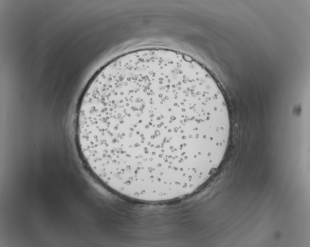 X0000116621519201001081221