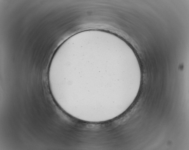 X0000116621521201001081221