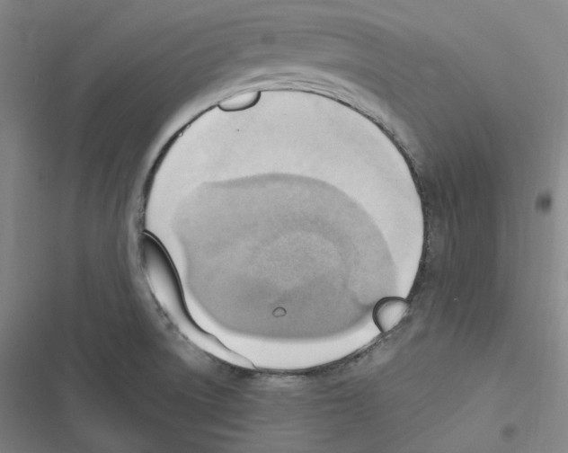 X0000116621522201001081221