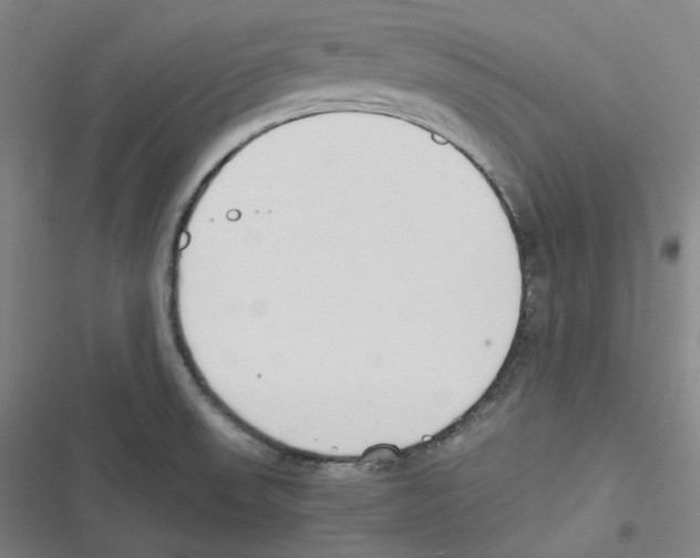 X0000116621523201001081221