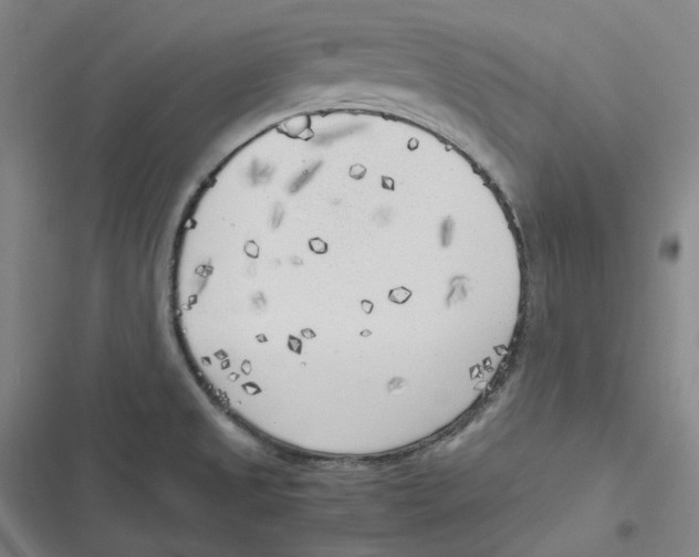 X0000116621525201001081221