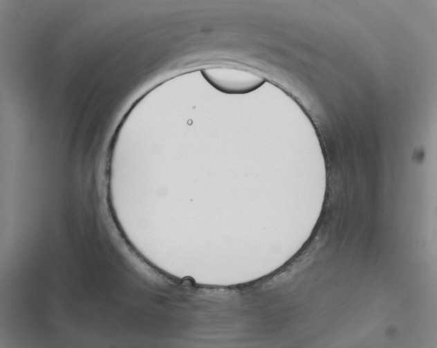 X0000116621526201001081221