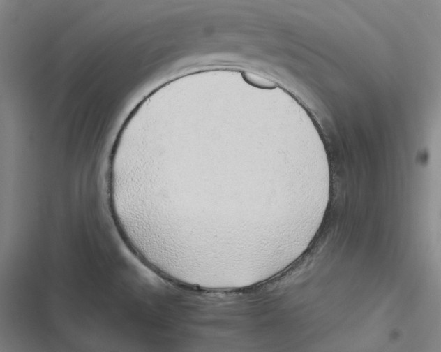 X0000116621527201001081221