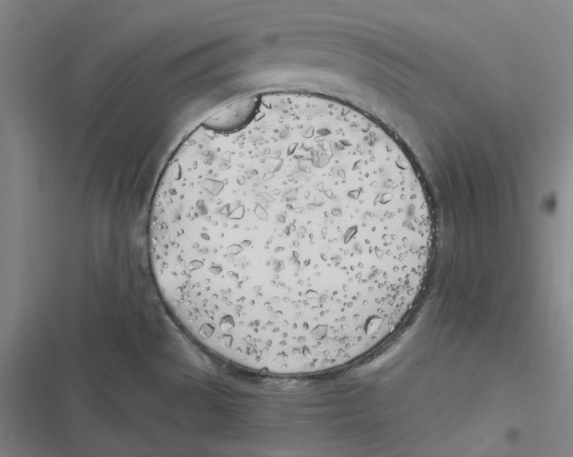 X0000116621529201001081221