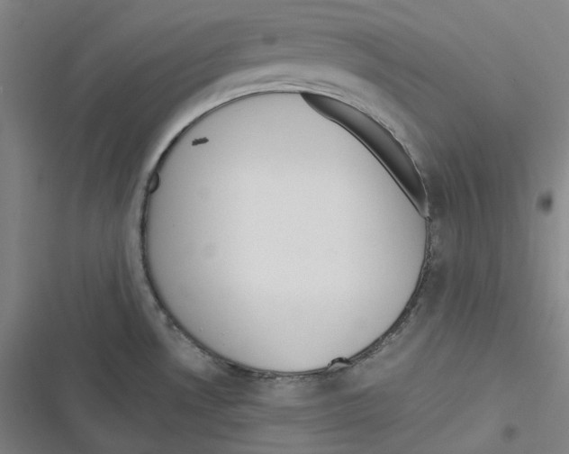 X0000116621530201001081221