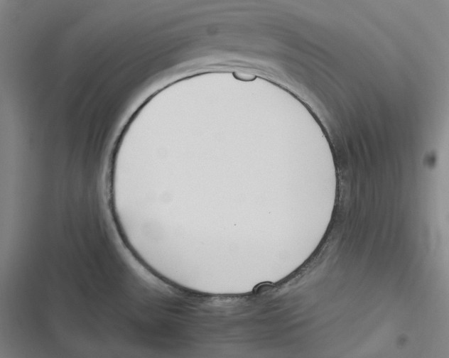 X0000116621531201001081221