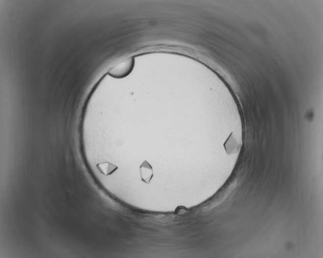 X0000116621533201001081221