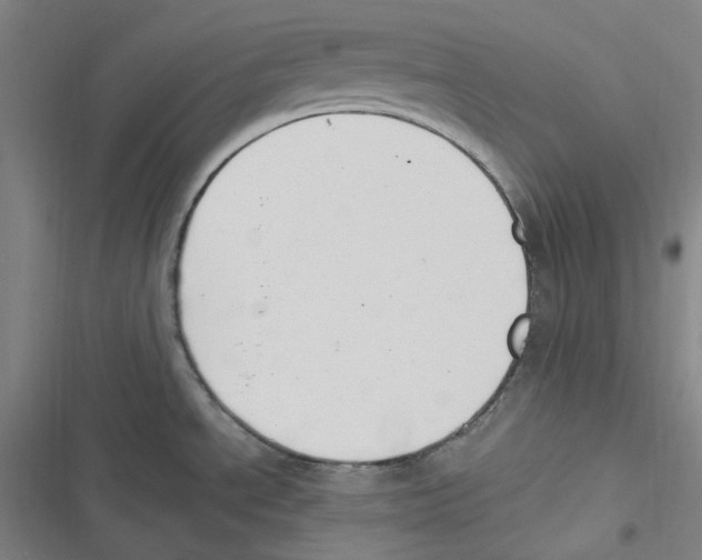 X0000116621534201001081221