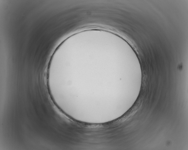 X0000116621535201001081221