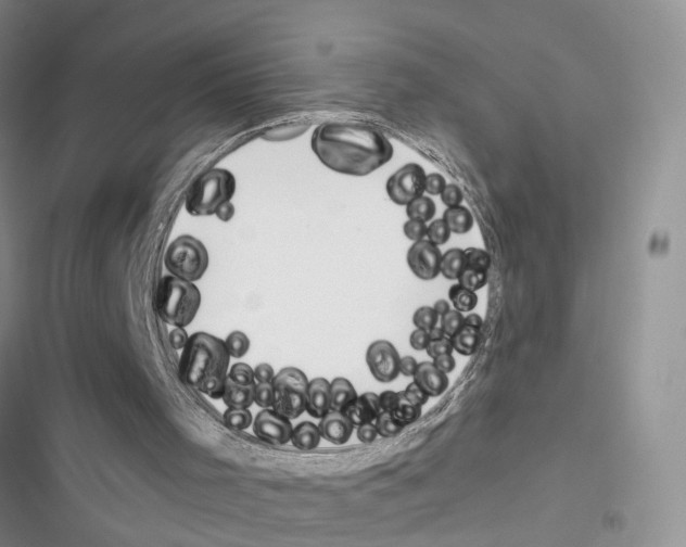 X0000116620001201001221349