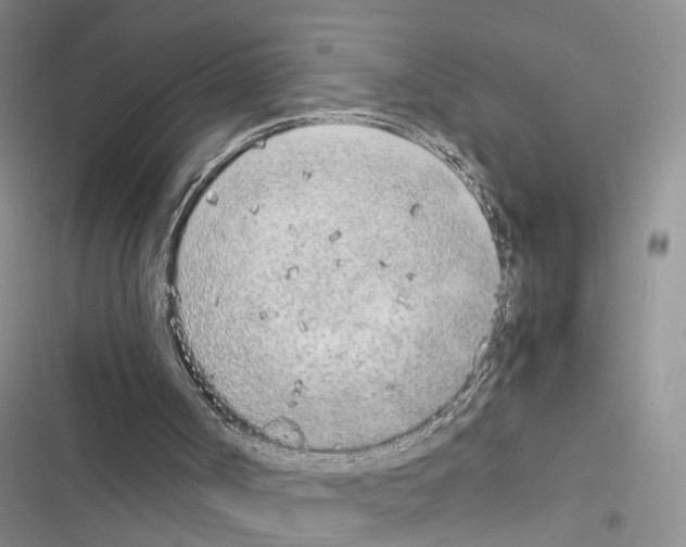 X0000116620002201001221349