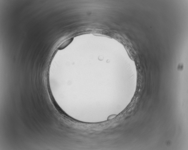 X0000116620003201001221349