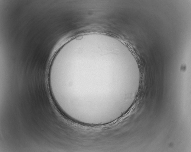 X0000116620004201001221349