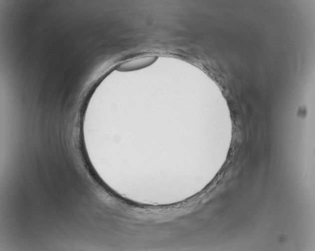 X0000116620005201001221349